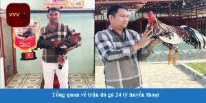 Tổng quan về trận đá gà 24 tỷ huyền thoại