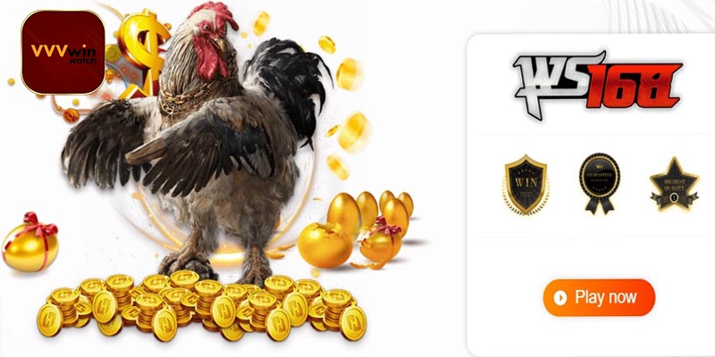 Tổng quan về sảnh WS168 đá gà VVVwin