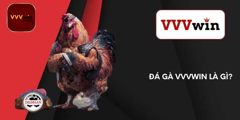 Sơ Lược Về Đá Gà VVVwin