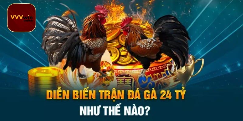 Những sư kê tham gia trận đấu đá gà 24 tỷ