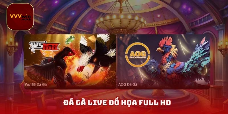 Điểm Nổi Bật Của Chuyên Mục Đá Gà VVVwin