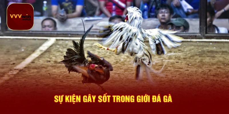Giải đáp thắc mắc liên quan